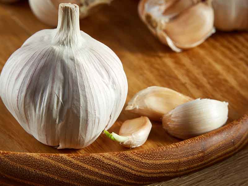 garlic