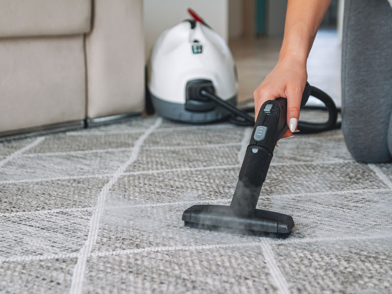 Preventing Bedbug Infestations by vacuuming