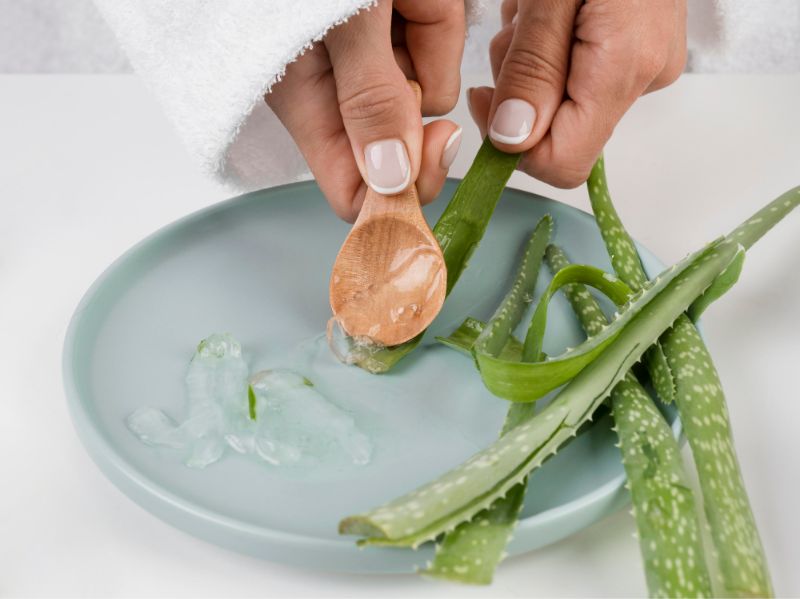 Aloe Vera to hide a cold sore without makeup