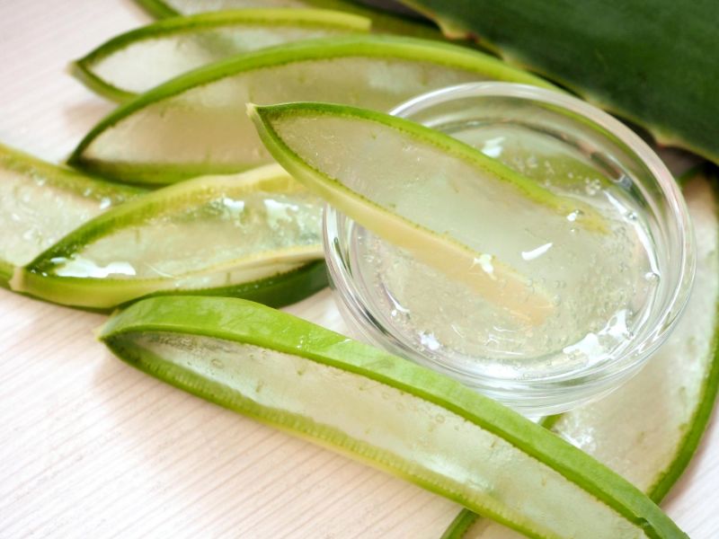 Aloe Vera for Acne