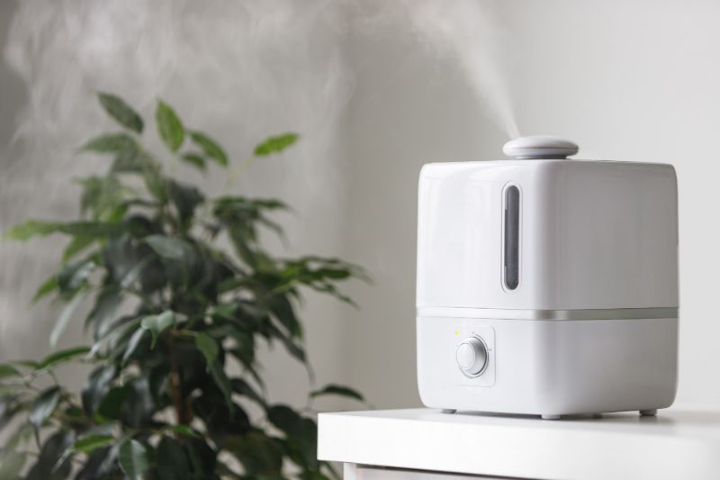 Humidifiers treating psoriasis at home