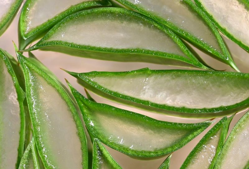 Raw Aloe Vera Gel on acne