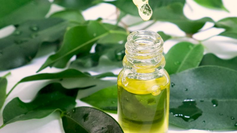 Tea Tree Oil for Psoriasis