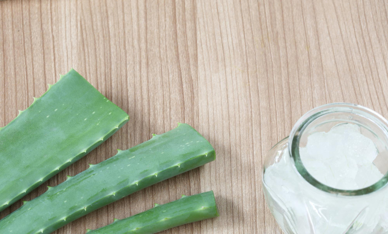 Chest cane remedy aloe vera
