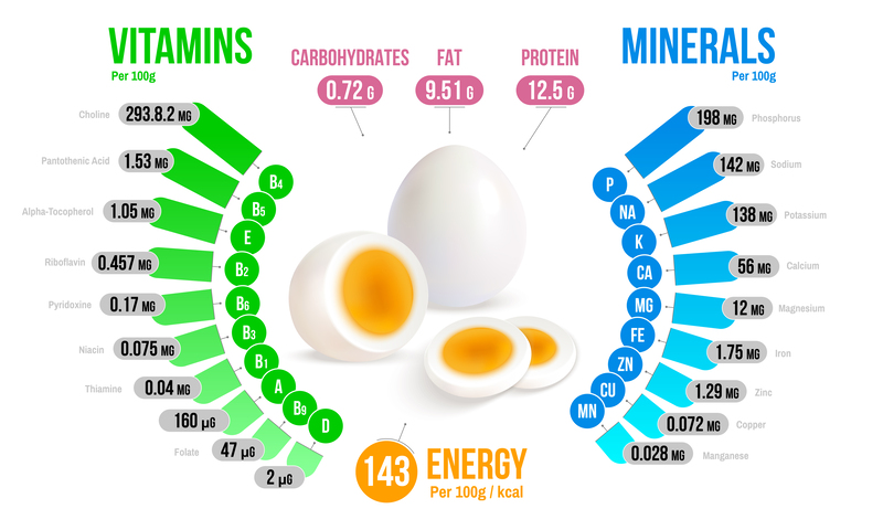 Components of Eggs